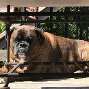 Meet your Posher, Ethan